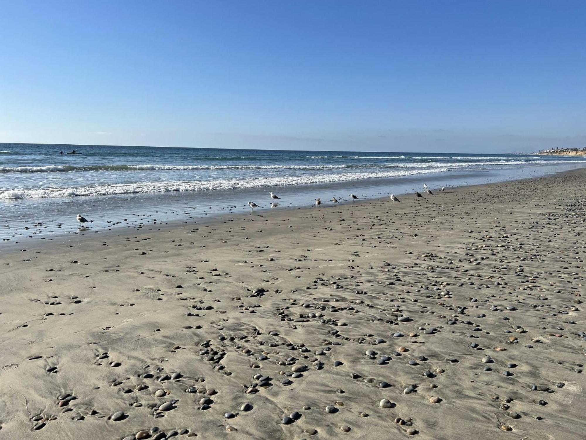 Holiday Inn Carlsbad/San Diego By Ihg Exteriör bild