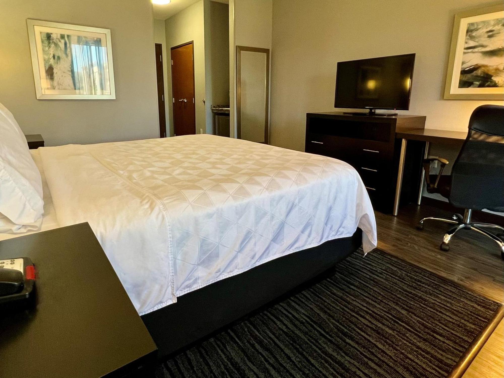 Holiday Inn Carlsbad/San Diego By Ihg Exteriör bild